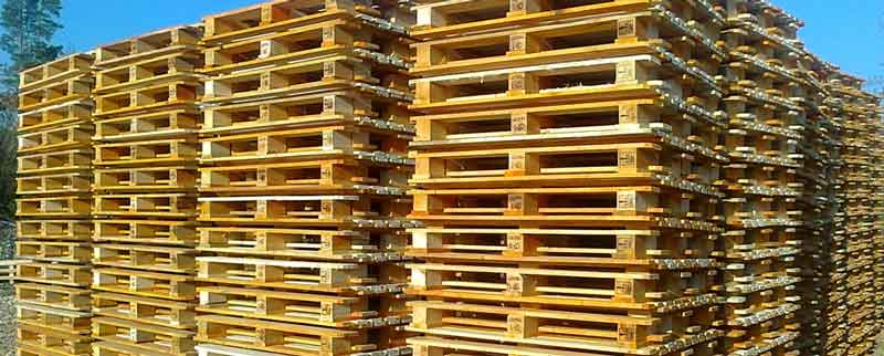Pallet gỗ đạt tiêu chuẩn Châu Âu như thế nào
